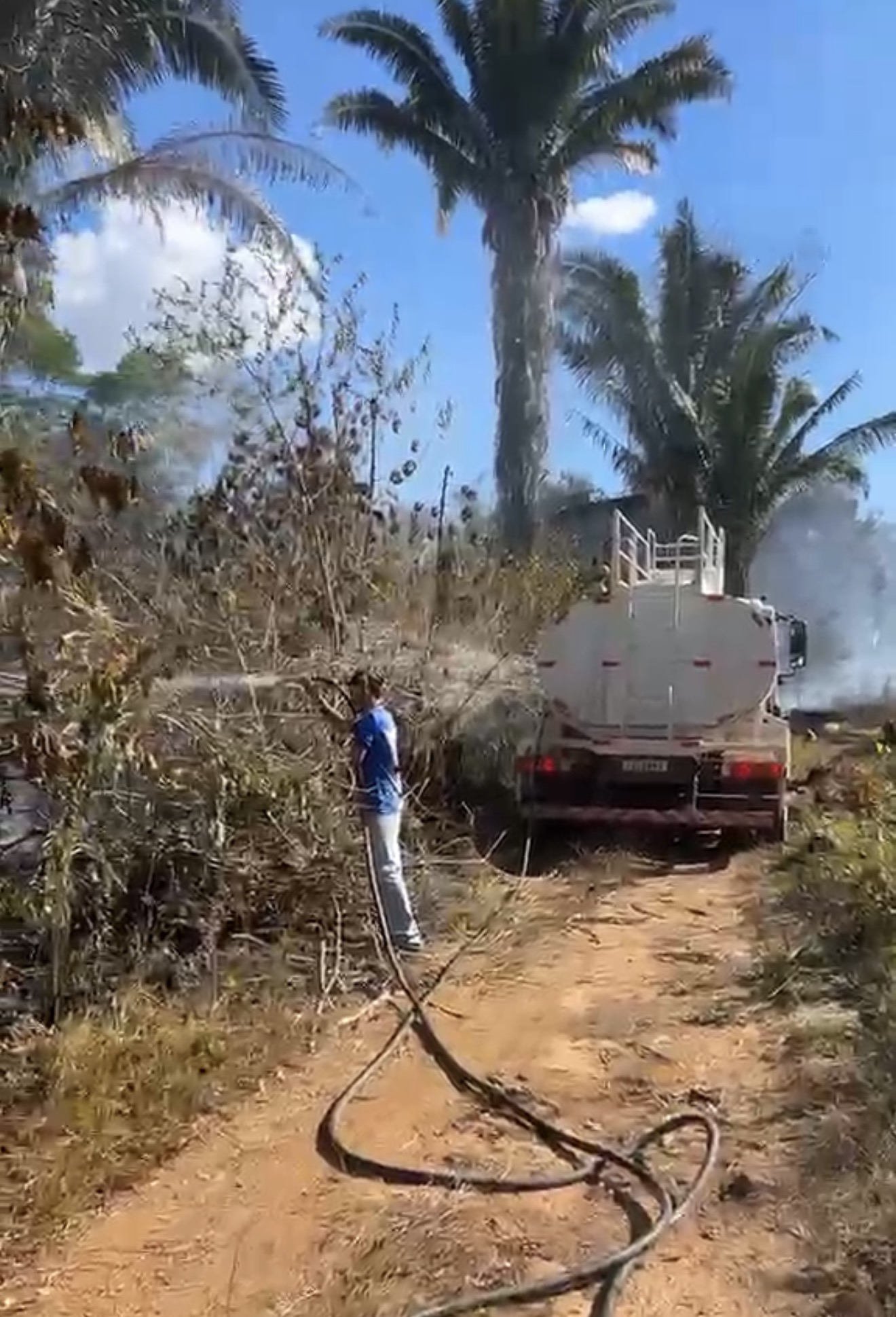 Foto 3 da matéria